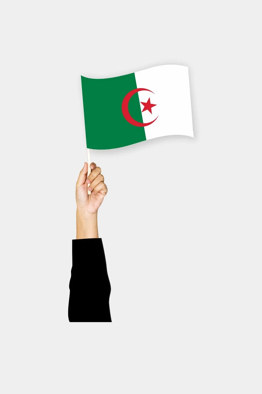 ალჟირის ხელის დროშა