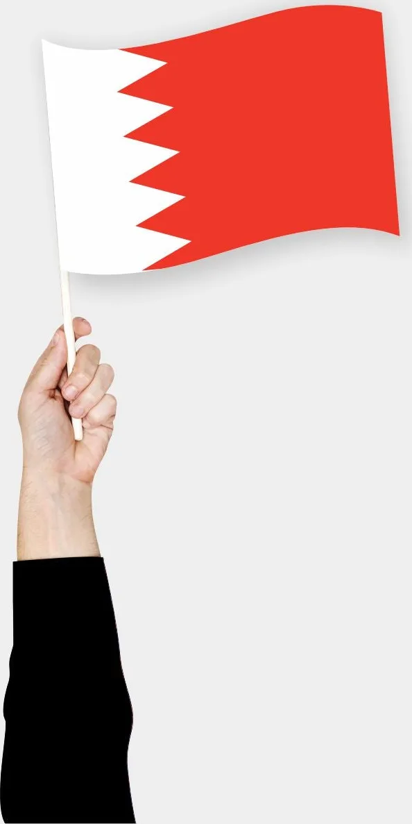 ბაჰრეინის ხელის დროშა