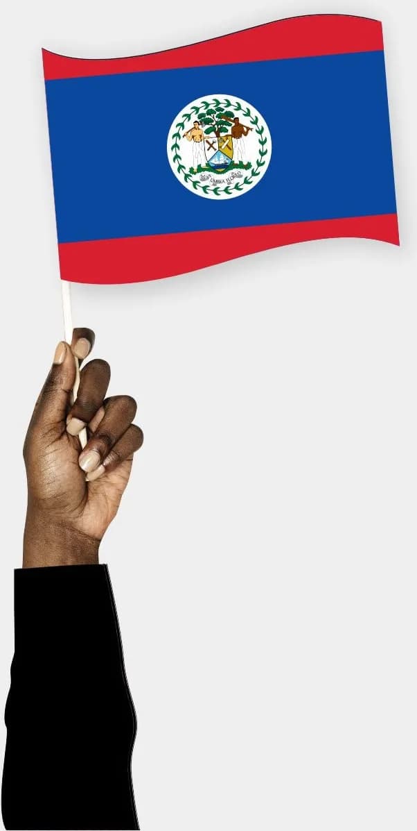 ბელიზის ხელის დროშა