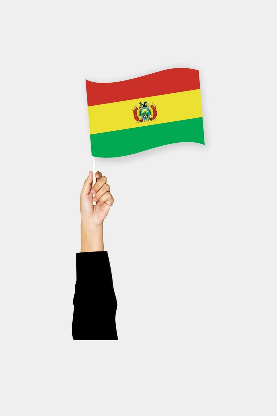 ბოლივიის ხელის დროშა