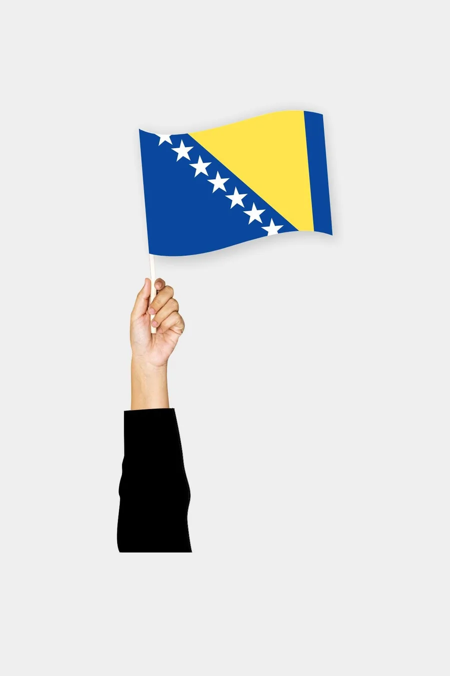 ბოსნიისა და ჰერცეგოვინის ხელის დროშა