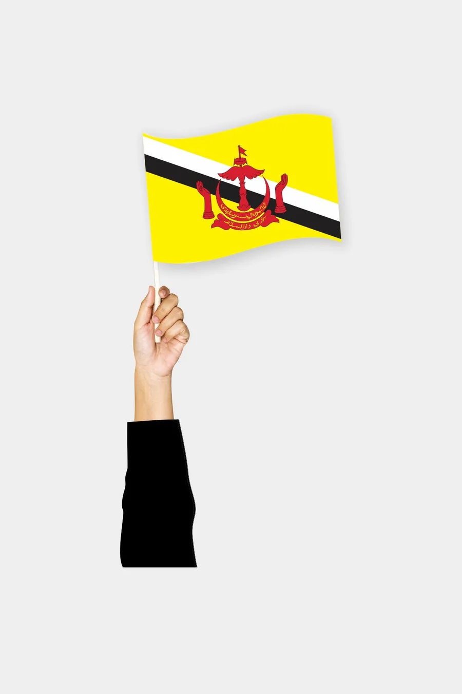 ბრუნეის ხელის დროშა