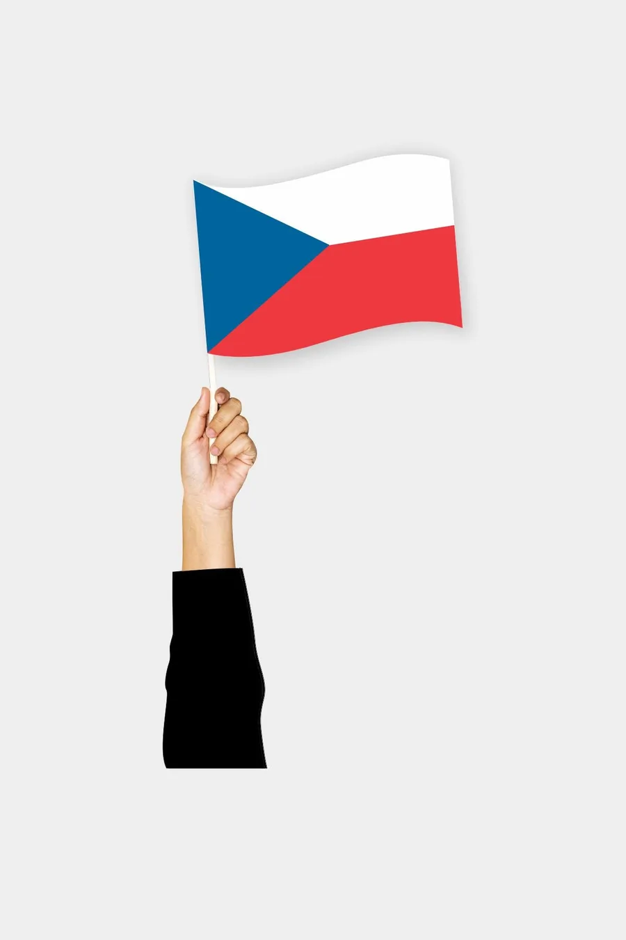 ჩეხეთის ხელის დროშა