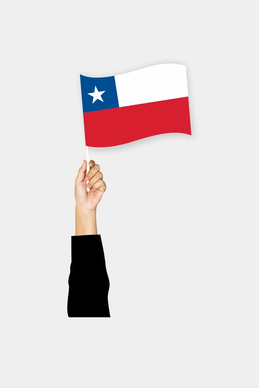 ჩილეს ხელის დროშა