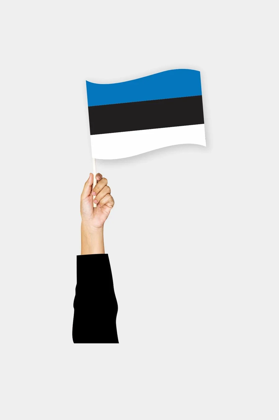 ესტონეთის ხელის დროშა