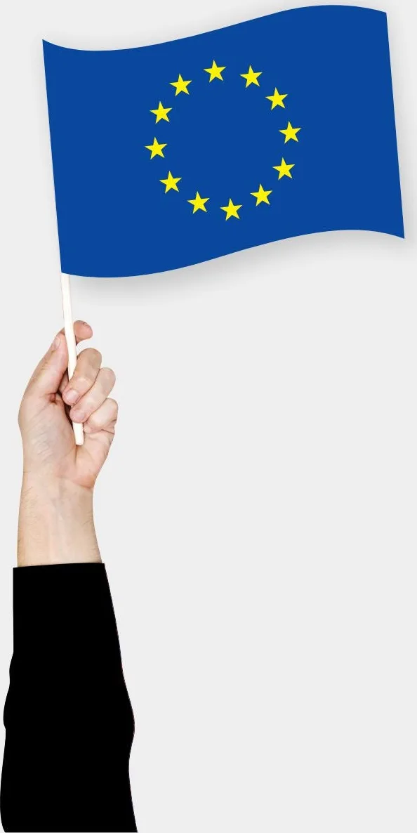 ევროკავშირის ხელის დროშა