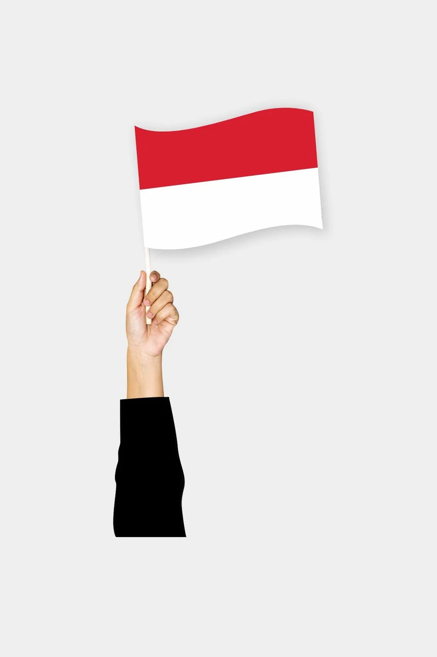ინდონეზიის ხელის დროშა