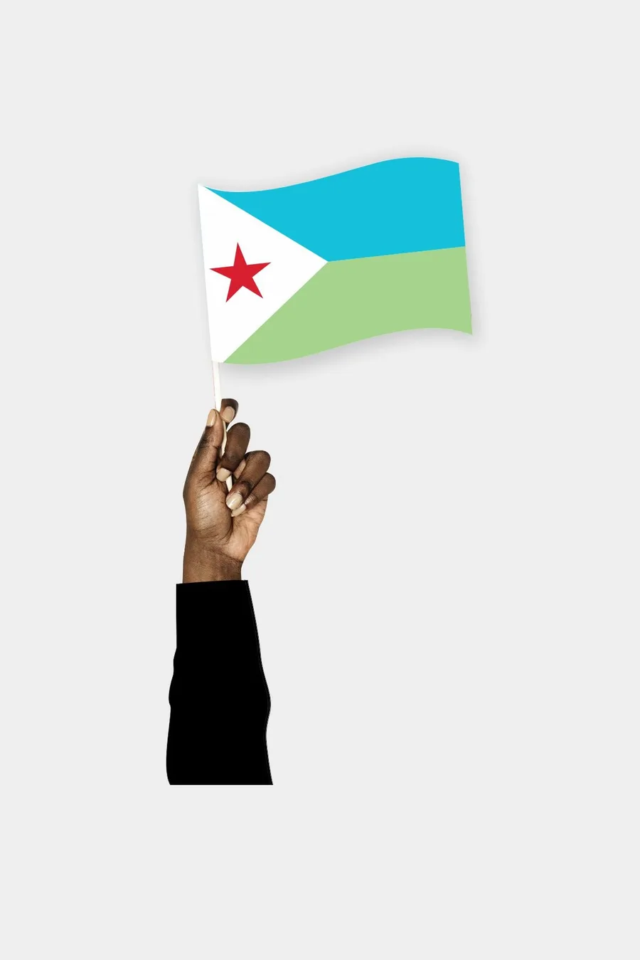 ჯიბუტის ხელის დროშა