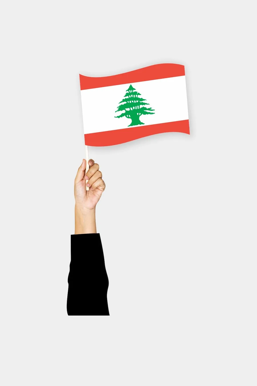 ლიბანის ხელის დროშა