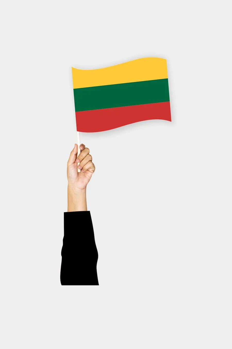 ლიტვის ხელის დროშა