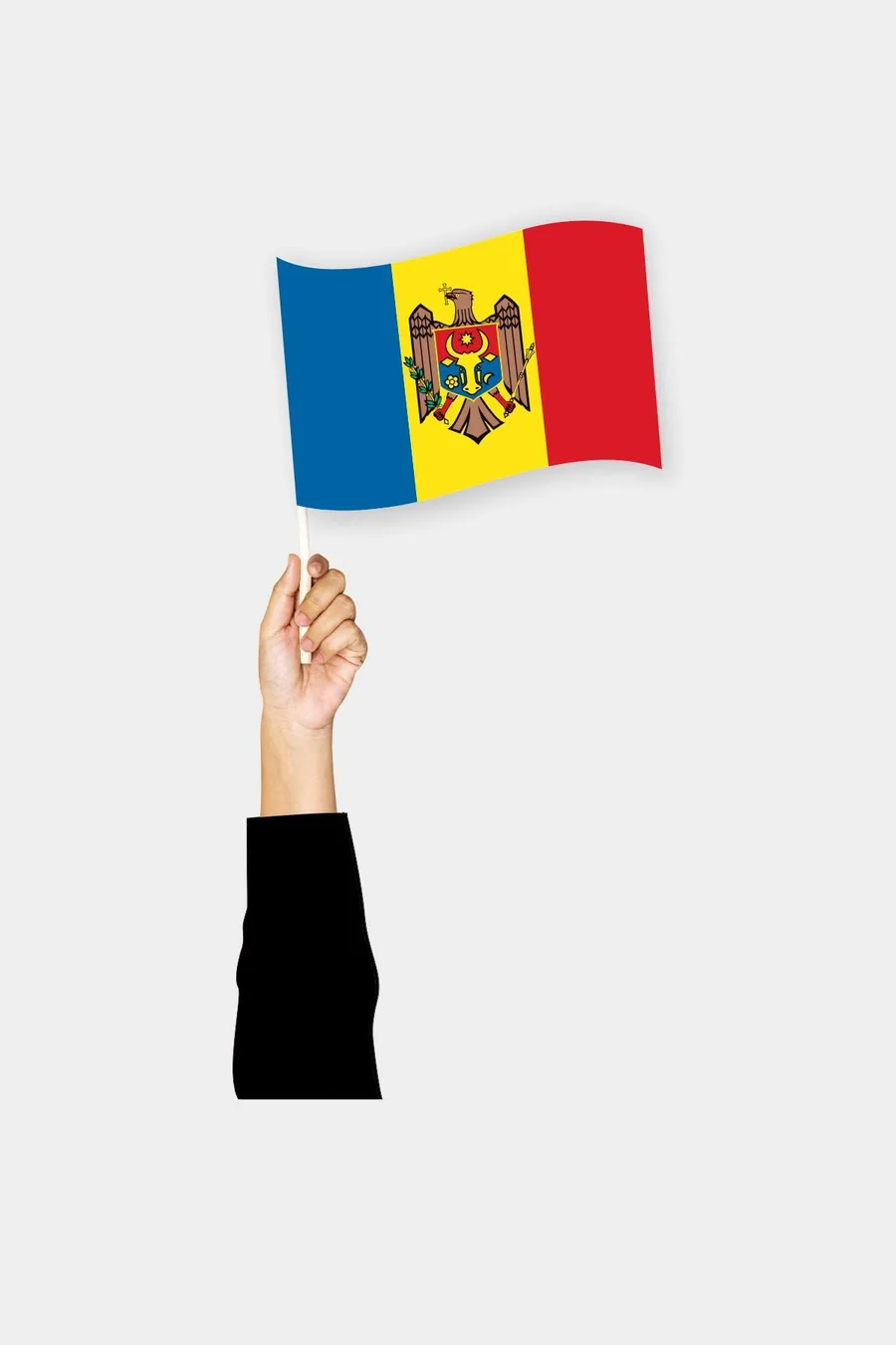 მოლდოვის ხელის დროშა