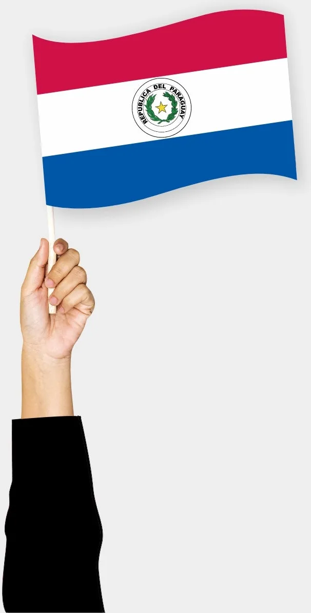 პარაგვაის ხელის დროშა