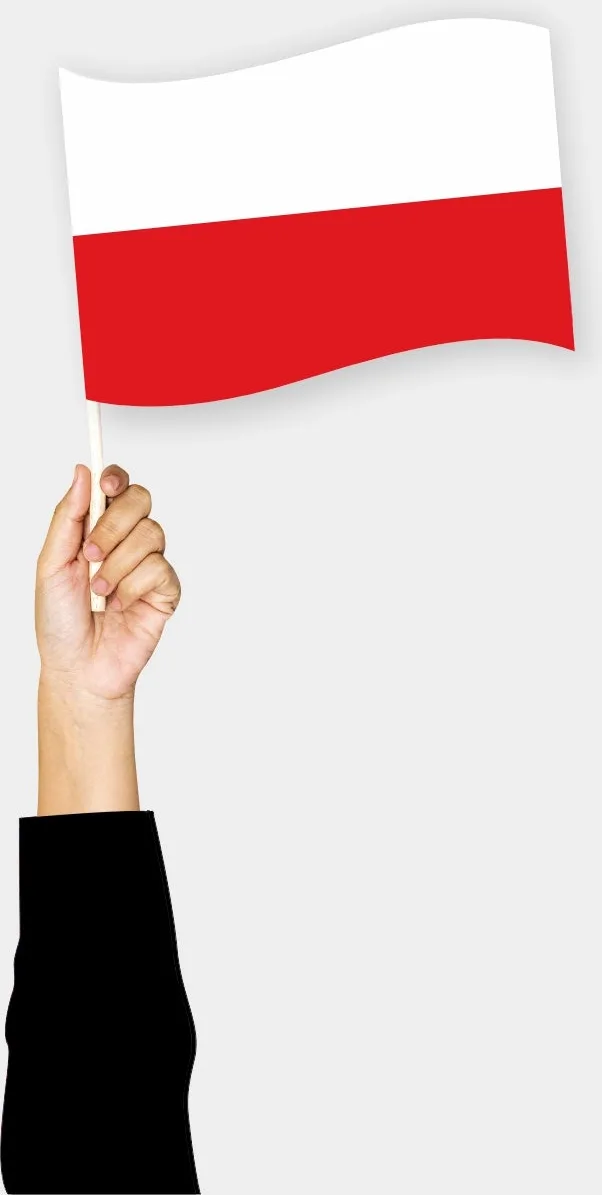 პოლონეთის ხელის დროშა