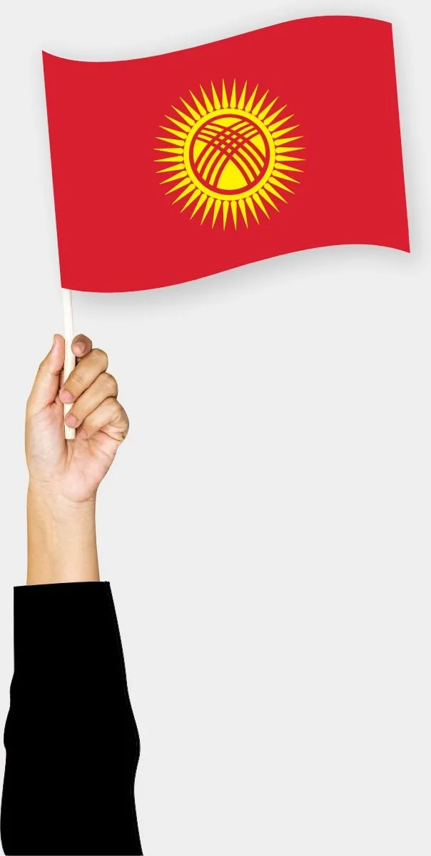 ყირგიზეთის ხელის დროშა