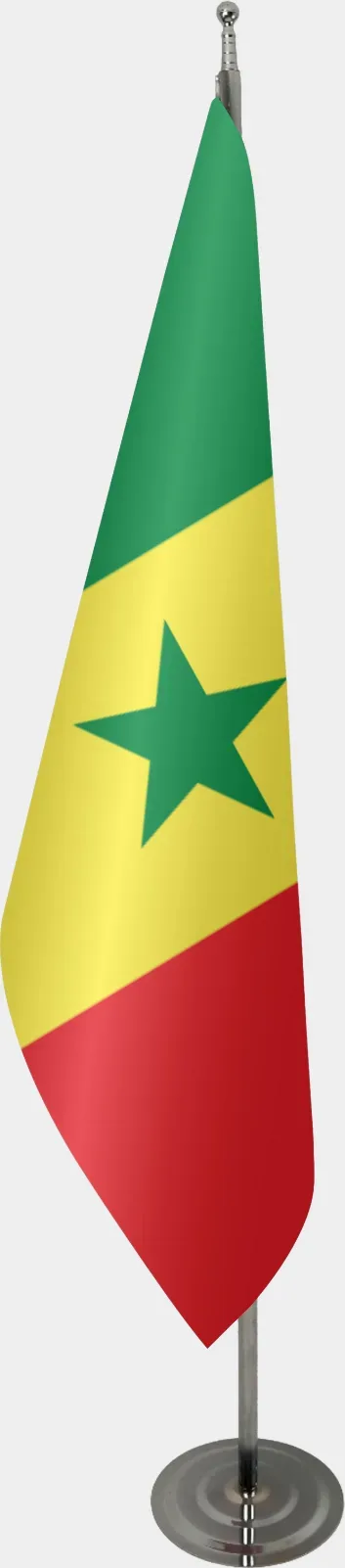 სენეგალის საკაბინეტო დროშა
