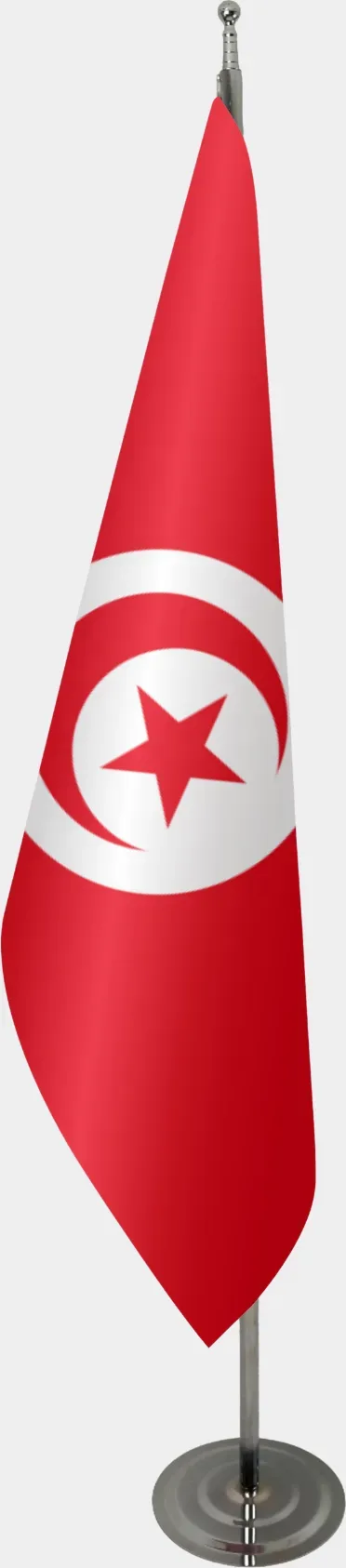 ტუნისის საკაბინეტო დროშა