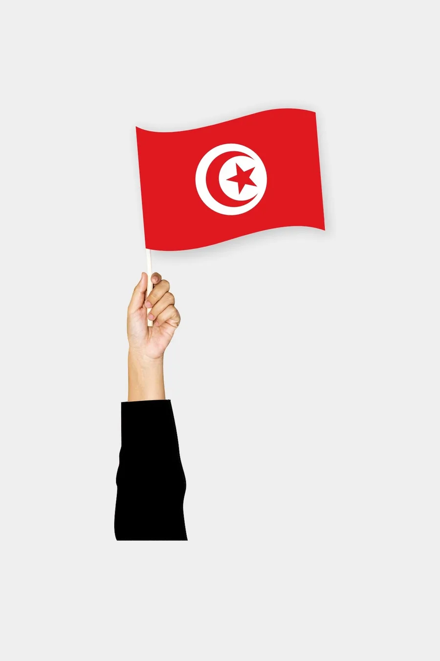 ტუნისის ხელის დროშა