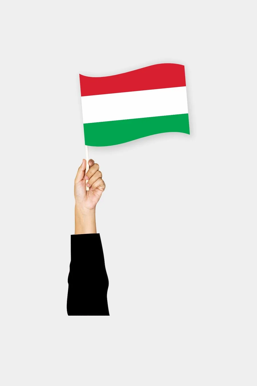 უნგრეთის ხელის დროშა