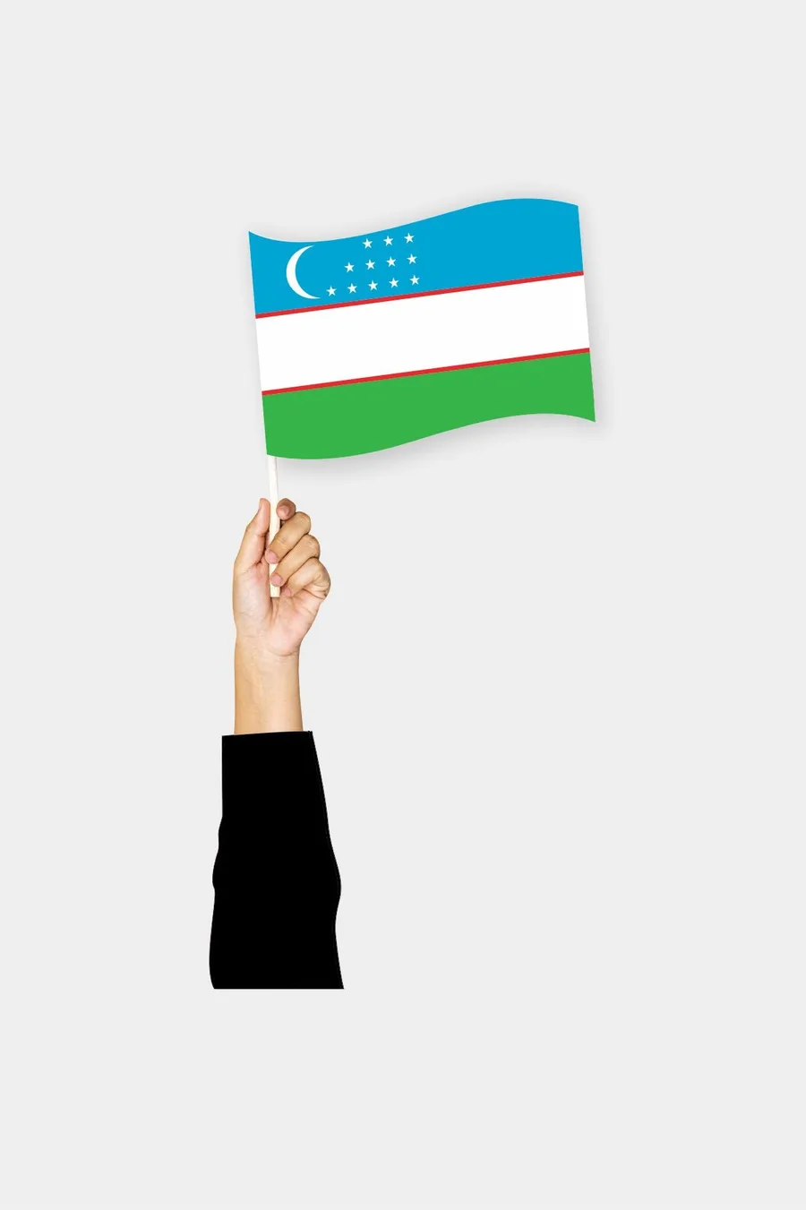 უზბეკეთის ხელის დროშა